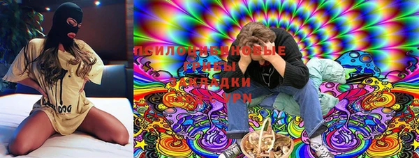 амф Липки