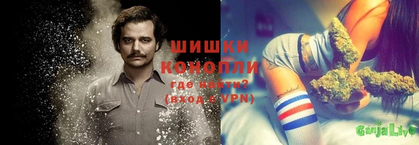 амф Липки